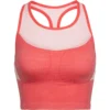 Icebreaker WMNS MELD ZONE LONG SPORT BRA Damen - Sport BH für Skibekleidung & Winterausrüstung 2 Icebreaker WMNS MELD ZONE LONG SPORT BRA Damen - Sport BH für Skibekleidung & Winterausrüstung -Angebote Bergsport Store 301016002 a meld zone long sport bra icebreaker 1