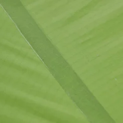 VAUDE LIZARD SEAMLESS 1-2P - Einpersonenzelt | Leichtes Tunnelzelt für Outdoor-Abenteuer -Angebote Bergsport Store 5637736447 af power lizard seamless 12p cress green vaude 24