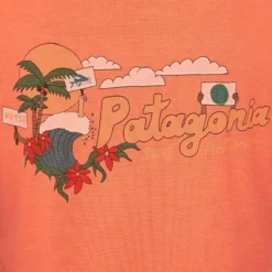 Patagonia W' S CAP COOL DAILY GRAPHIC SHIRT Damen - Funktionsshirt für Bergsport & Klettern -Angebote Bergsport Store 5637916406 d w s cap cool daily graphic shirt patagonia 24