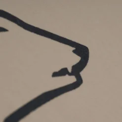 Nordisk KARI 20 - Tarp | Hochwertiges Zeltzubehör für Outdoor-Abenteuer -Angebote Bergsport Store 5638028400 h kari 20 technical cotton tarp nordisk 24